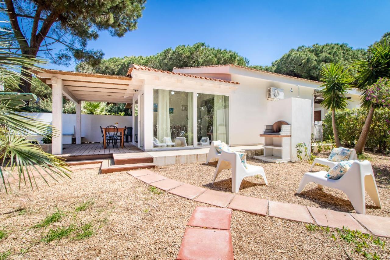 Carlotta Ferienhaus Valledoria (Sardinia)